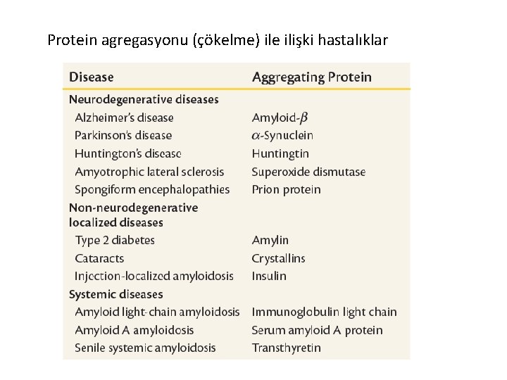 Protein agregasyonu (çökelme) ile ilişki hastalıklar 