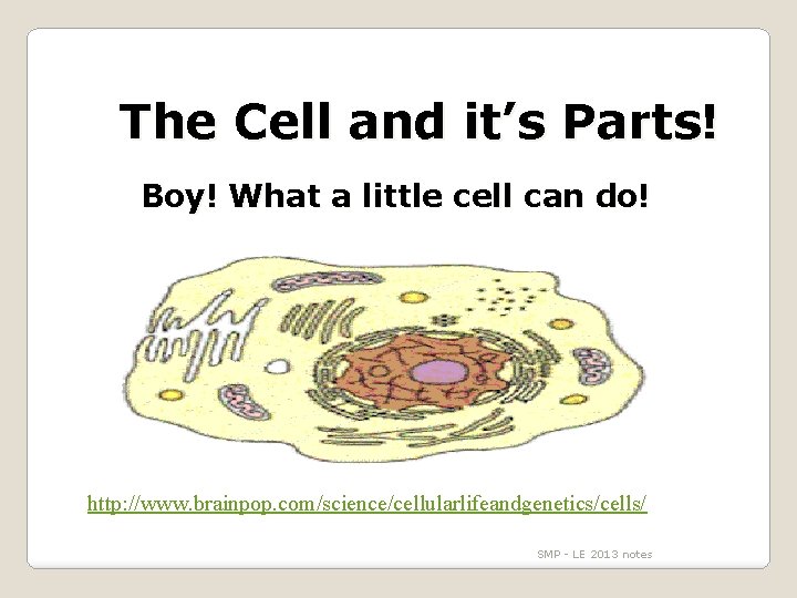 The Cell and it’s Parts! Boy! What a little cell can do! http: //www.