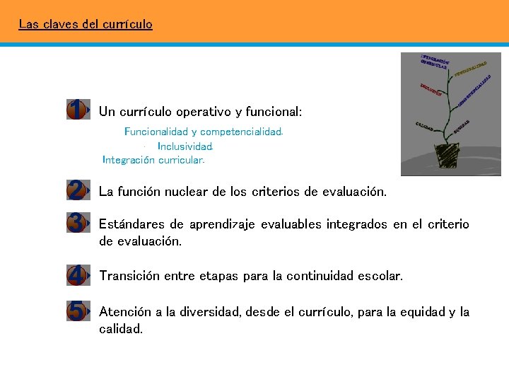 Las claves del currículo Un currículo operativo y funcional: Funcionalidad y competencialidad. Inclusividad. Integración