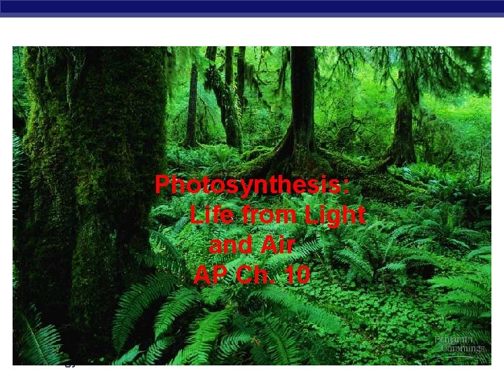 Photosynthesis: Life from Light and Air AP Ch. 10 AP Biology 2007 -2008 