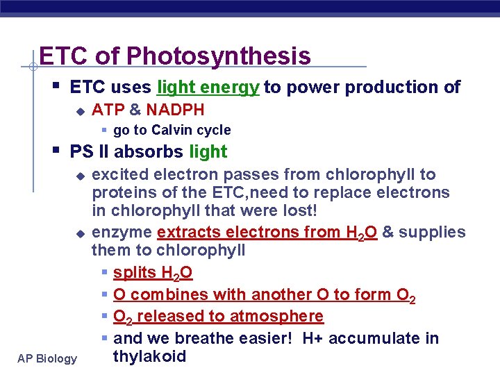 ETC of Photosynthesis § ETC uses light energy to power production of u ATP