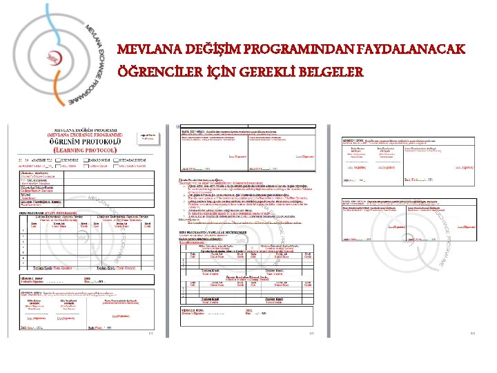 MEVLANA DEĞİŞİM PROGRAMINDAN FAYDALANACAK ÖĞRENCİLER İÇİN GEREKLİ BELGELER 