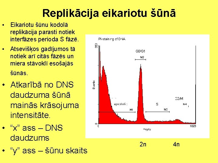 Replikācija eikariotu šūnā • Eikariotu šūnu kodolā replikācija parasti notiek interfāzes perioda S fāzē.