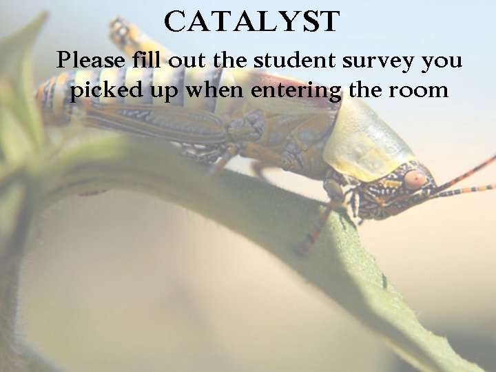 CATALYST Please fill out the student survey you picked up when entering the room