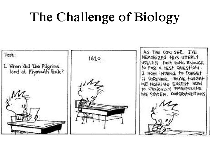 The Challenge of Biology 