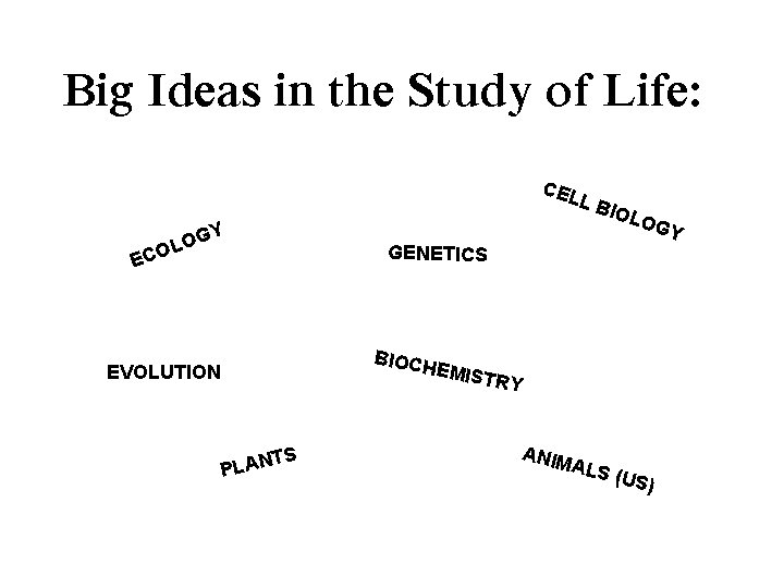 Big Ideas in the Study of Life: CEL LB ECO Y G O L