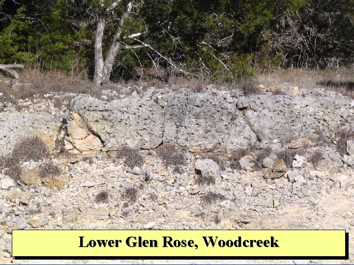 Lower Glen Rose, Woodcreek 