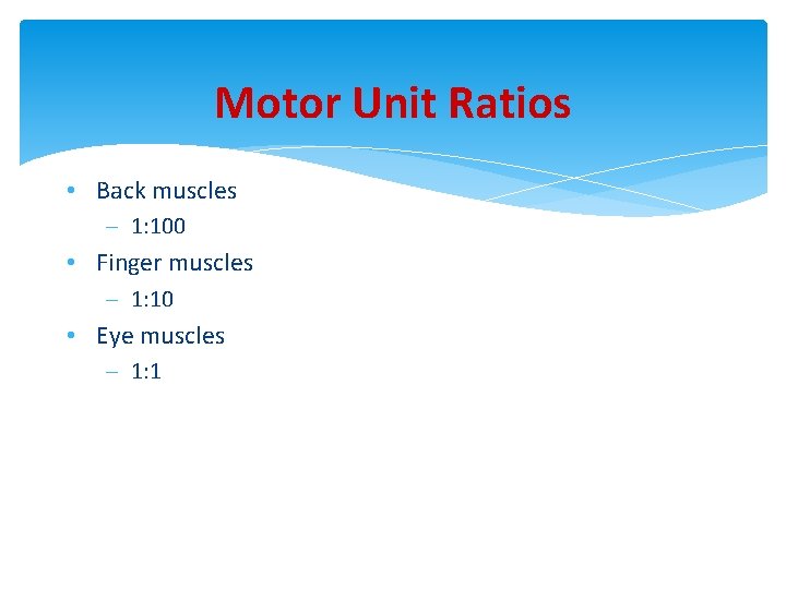 Motor Unit Ratios • Back muscles – 1: 100 • Finger muscles – 1: