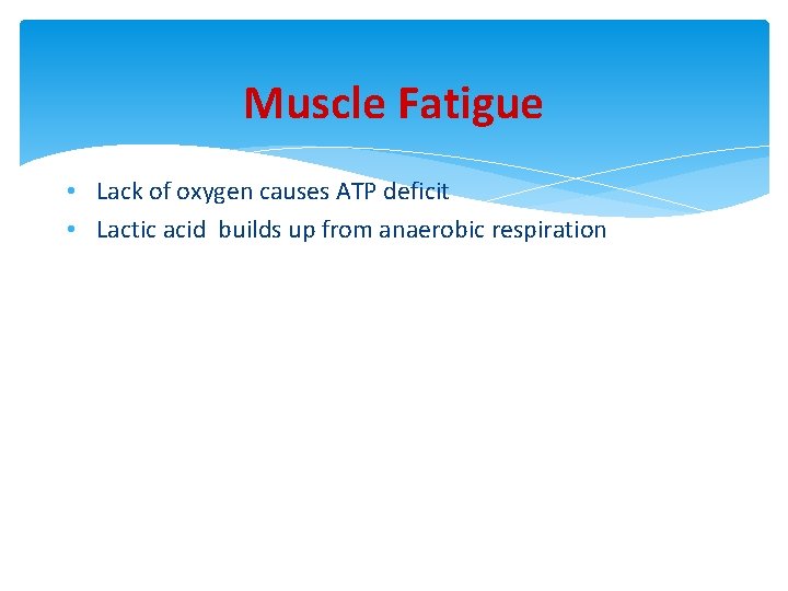 Muscle Fatigue • Lack of oxygen causes ATP deficit • Lactic acid builds up