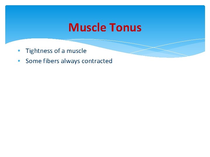 Muscle Tonus • Tightness of a muscle • Some fibers always contracted 
