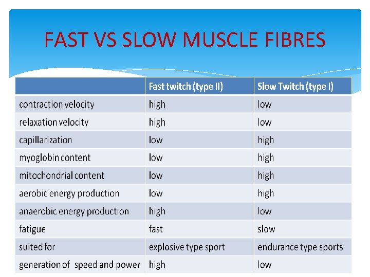 FAST VS SLOW MUSCLE FIBRES 