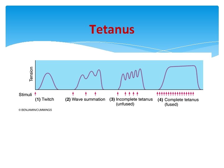 Tetanus 