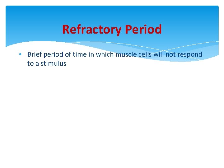 Refractory Period • Brief period of time in which muscle cells will not respond