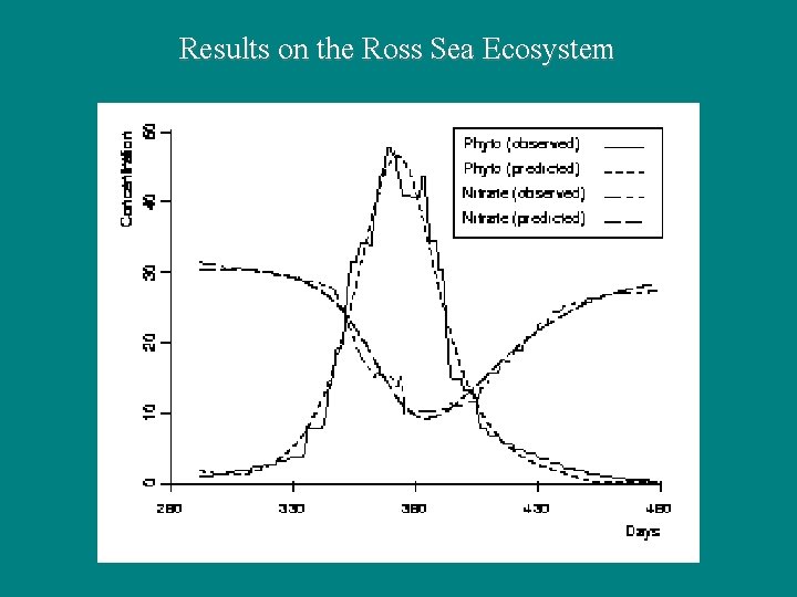 Results on the Ross Sea Ecosystem 