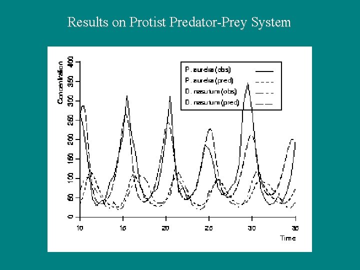 Results on Protist Predator-Prey System 