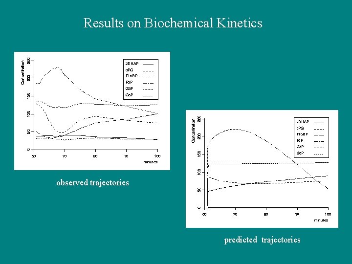 Results on Biochemical Kinetics observed trajectories predicted trajectories 