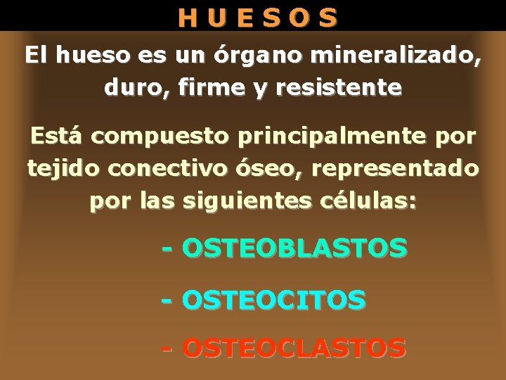 HUESOS El hueso es un órgano mineralizado, duro, firme y resistente Está compuesto principalmente