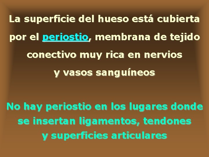 La superficie del hueso está cubierta por el periostio, membrana de tejido conectivo muy