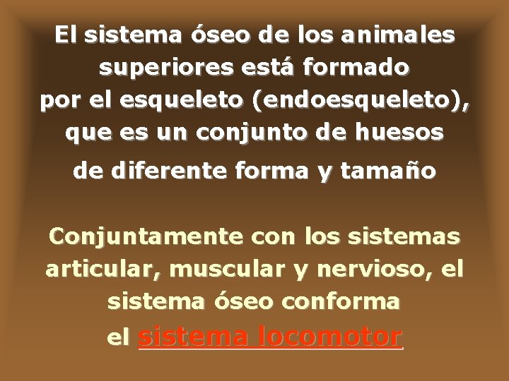 El sistema óseo de los animales superiores está formado por el esqueleto (endoesqueleto), que