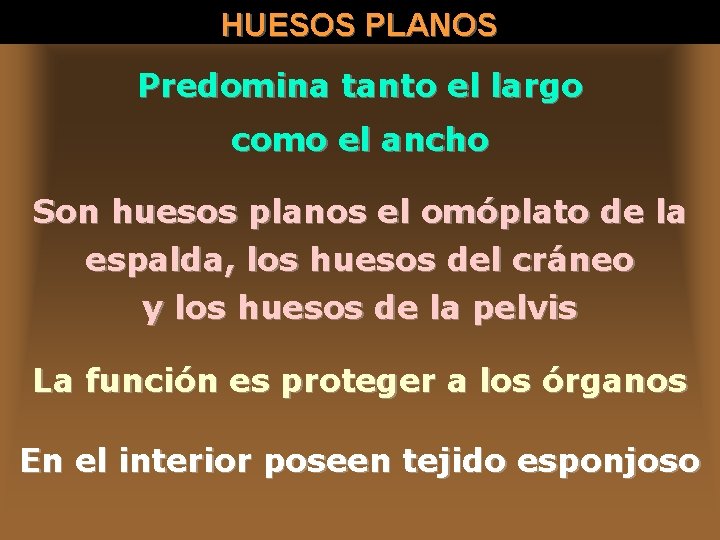 HUESOS PLANOS Predomina tanto el largo como el ancho Son huesos planos el omóplato