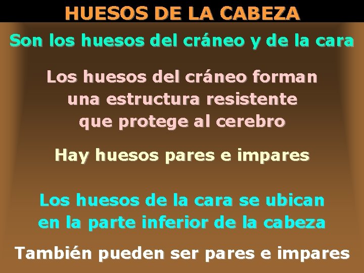 HUESOS DE LA CABEZA Son los huesos del cráneo y de la cara Los