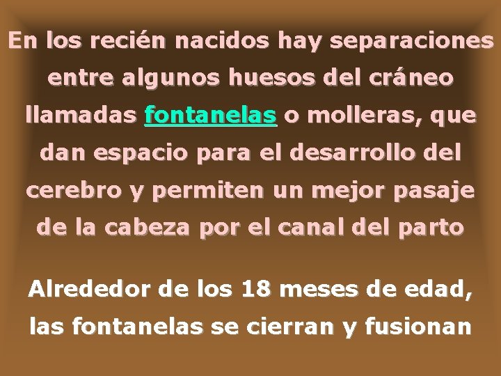 En los recién nacidos hay separaciones entre algunos huesos del cráneo llamadas fontanelas o