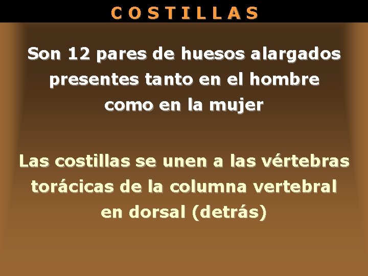 COSTILLAS Son 12 pares de huesos alargados presentes tanto en el hombre como en