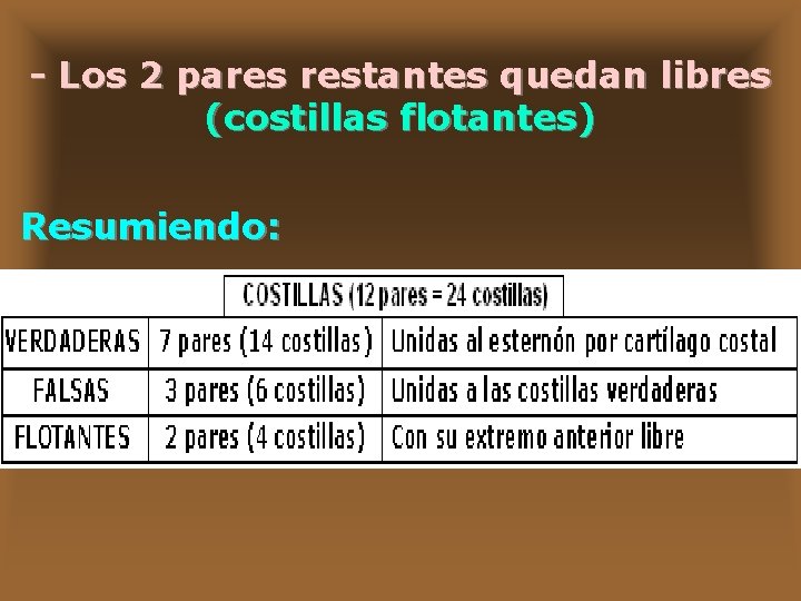 - Los 2 pares restantes quedan libres (costillas flotantes) Resumiendo: 