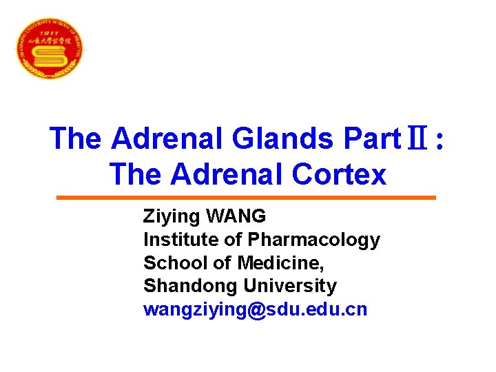 The Adrenal Glands PartⅡ: The Adrenal Cortex Ziying WANG Institute of Pharmacology School of