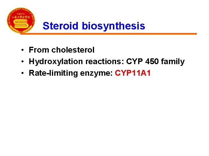 Steroid biosynthesis • From cholesterol • Hydroxylation reactions: CYP 450 family • Rate-limiting enzyme: