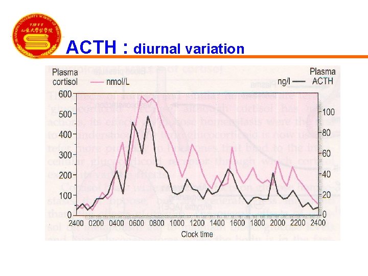 ACTH : diurnal variation 