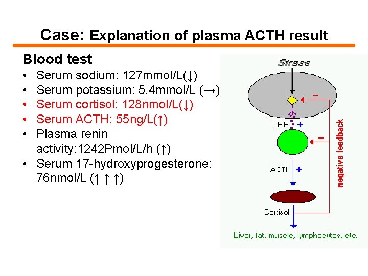 Case: Explanation of plasma ACTH result Blood test • • • Serum sodium: 127