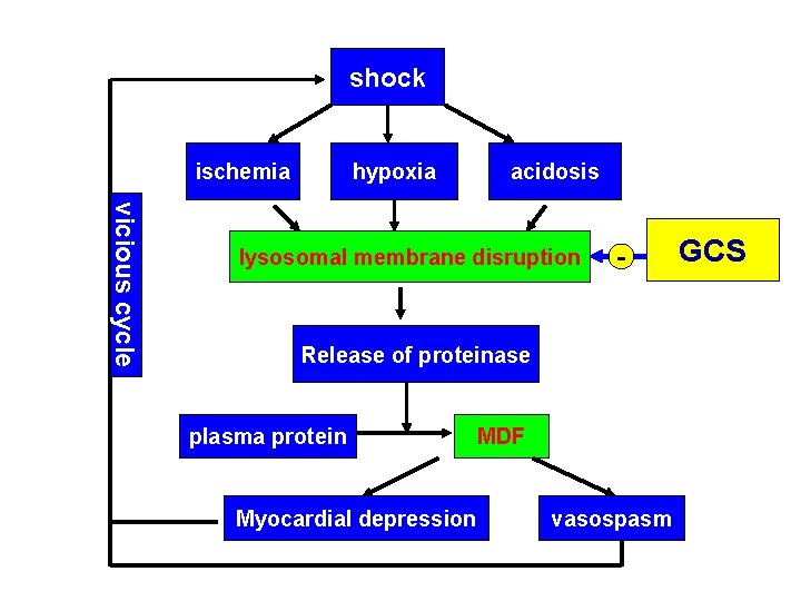 shock ischemia hypoxia acidosis vicious cycle lysosomal membrane disruption - Release of proteinase plasma