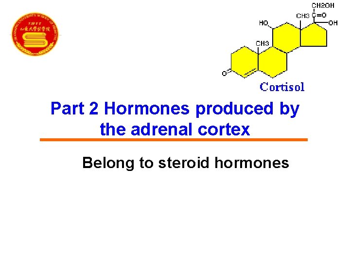 Part 2 Hormones produced by the adrenal cortex Belong to steroid hormones 