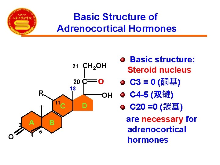 Basic Structure of Adrenocortical Hormones 11 C O A 4 B 5 CH 2