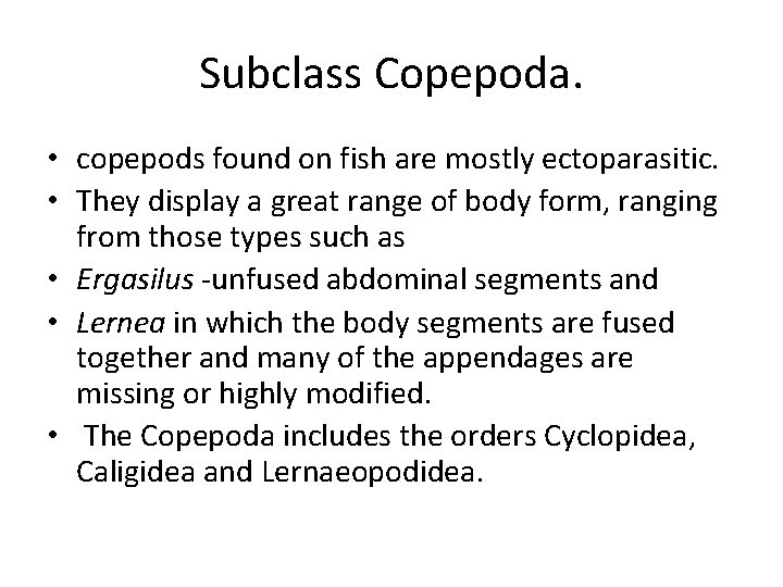 Subclass Copepoda. • copepods found on fish are mostly ectoparasitic. • They display a