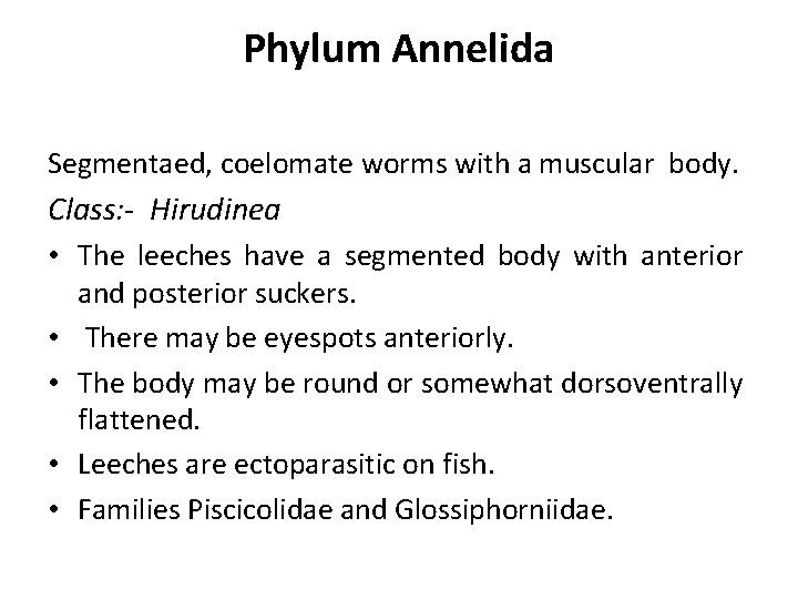Phylum Annelida Segmentaed, coelomate worms with a muscular body. Class: - Hirudinea • The