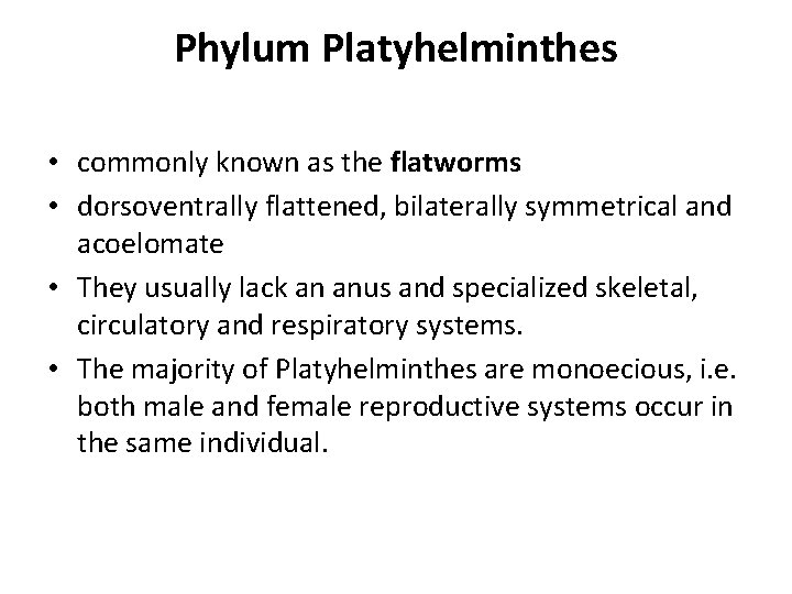 Phylum Platyhelminthes • commonly known as the flatworms • dorsoventrally flattened, bilaterally symmetrical and