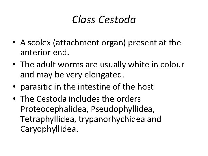 Class Cestoda • A scolex (attachment organ) present at the anterior end. • The