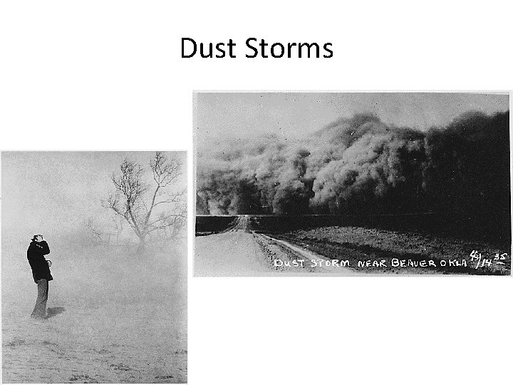 Dust Storms 