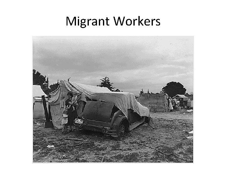 Migrant Workers 