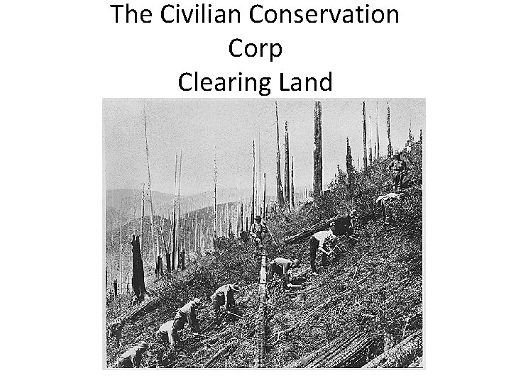 The Civilian Conservation Corp Clearing Land 