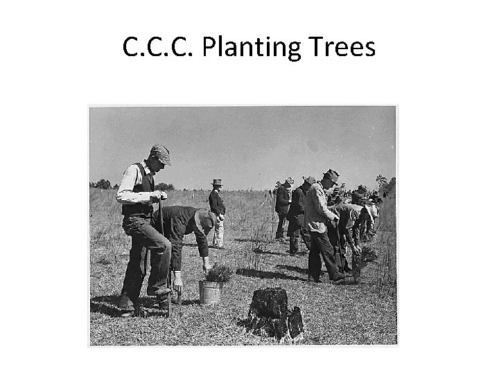 C. C. C. Planting Trees 