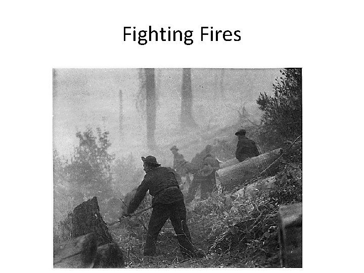 Fighting Fires 