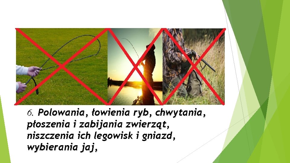 6. Polowania, łowienia ryb, chwytania, płoszenia i zabijania zwierząt, niszczenia ich legowisk i gniazd,