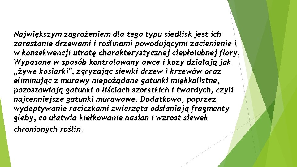 Największym zagrożeniem dla tego typu siedlisk jest ich zarastanie drzewami i roślinami powodującymi zacienienie