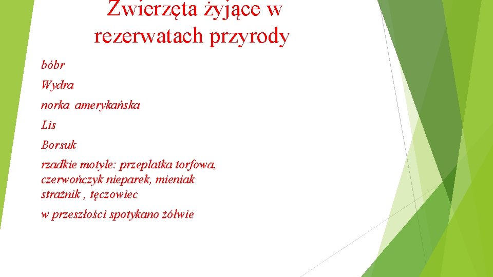 Zwierzęta żyjące w rezerwatach przyrody bóbr Wydra norka amerykańska Lis Borsuk rzadkie motyle: przeplatka