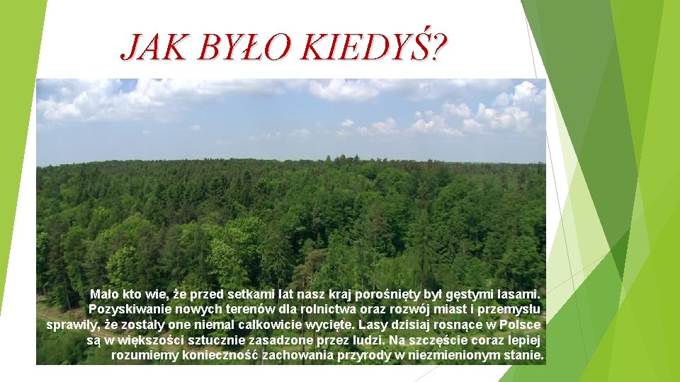 JAK BYŁO KIEDYŚ? Mało kto wie, że przed setkami lat nasz kraj porośnięty był