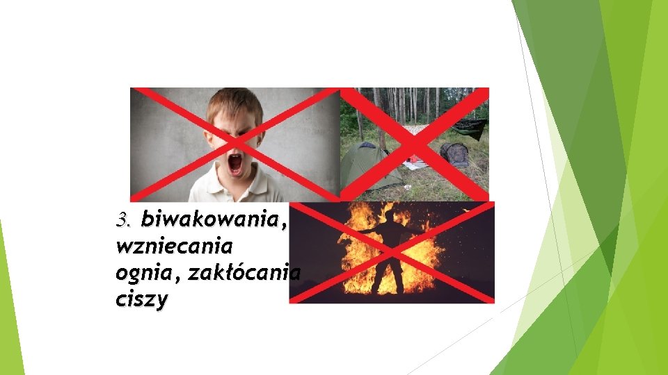 3. biwakowania, wzniecania ognia, zakłócania ciszy 