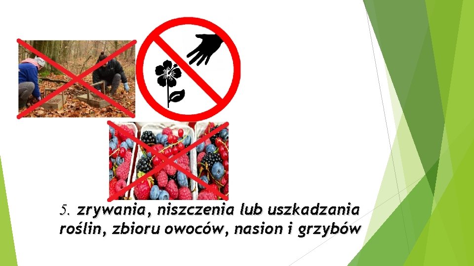 5. zrywania, niszczenia lub uszkadzania roślin, zbioru owoców, nasion i grzybów 